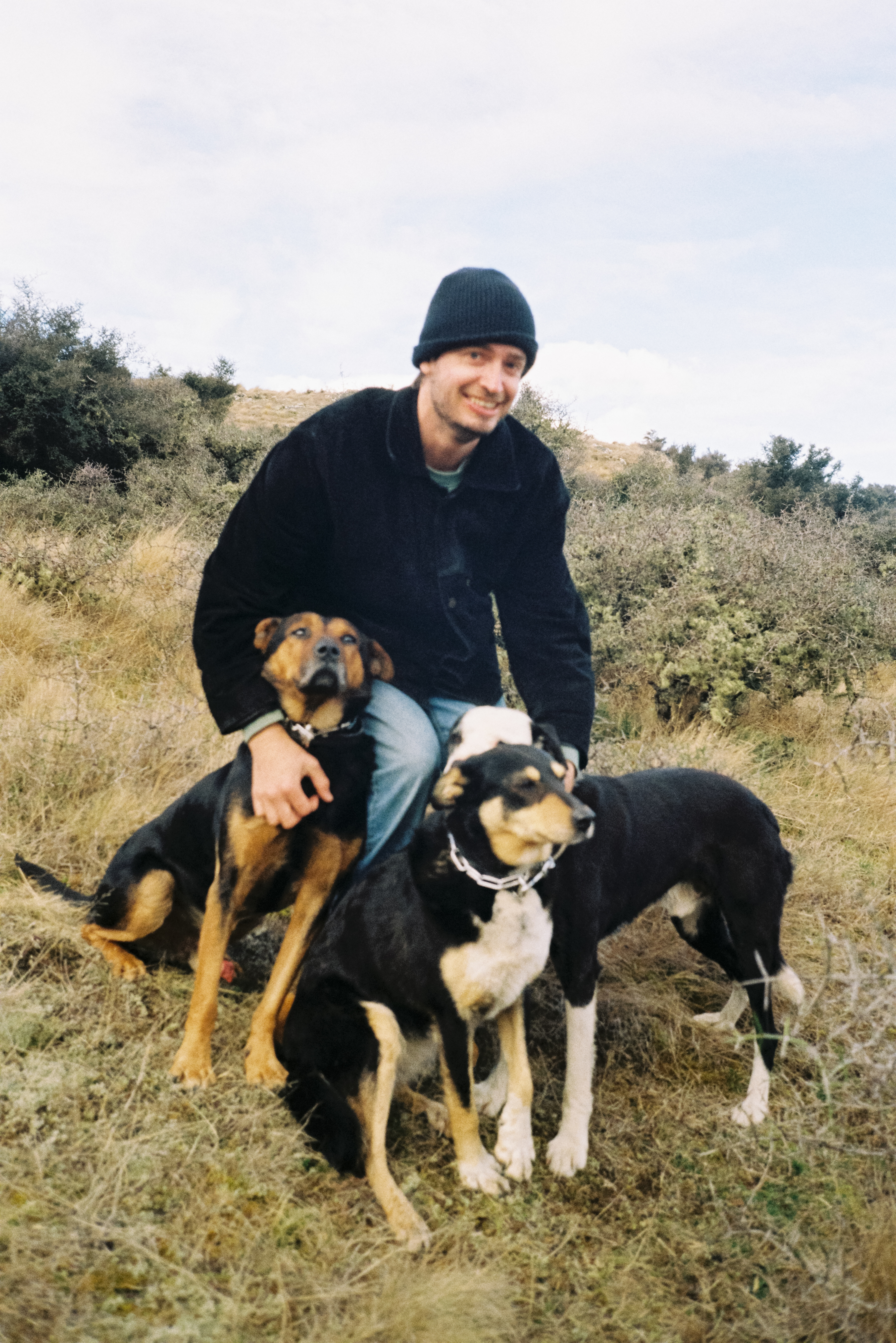 Flockhill-Farm-Dogs.JPEG